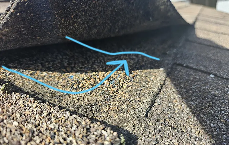 Water traversing behind the shingle.