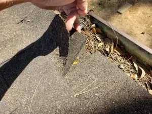 Starter shingle lines up with first row of shingles