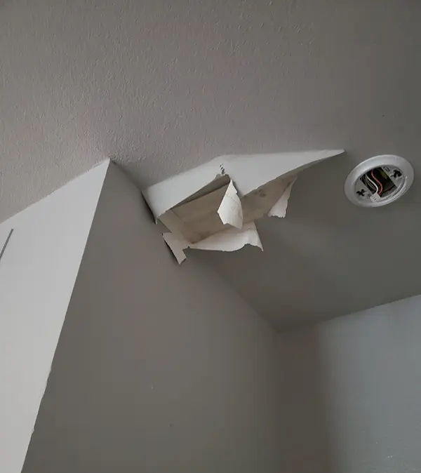 Ceiling issues during roof inspection